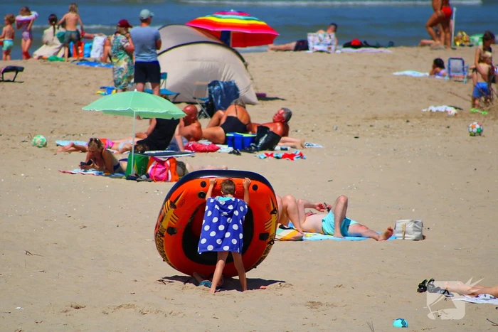 Mens en dier zoeken verkoeling aan het strand