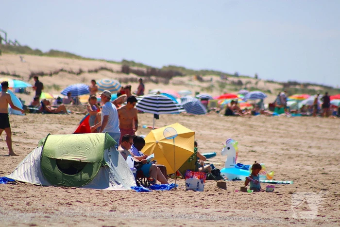 Mens en dier zoeken verkoeling aan het strand