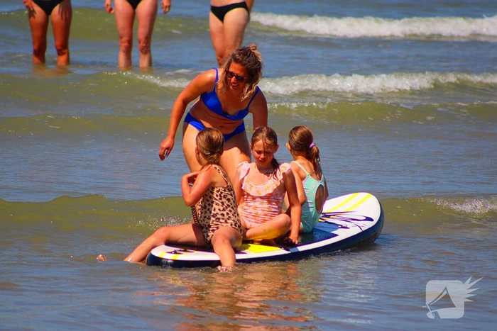 Mens en dier zoeken verkoeling aan het strand