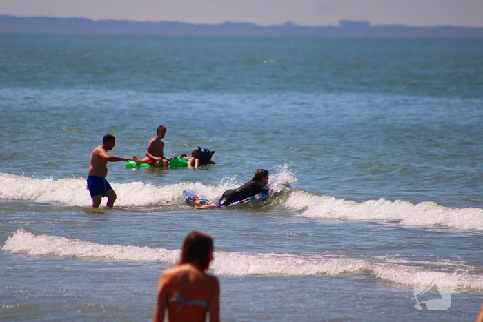 Mens en dier zoeken verkoeling aan het strand