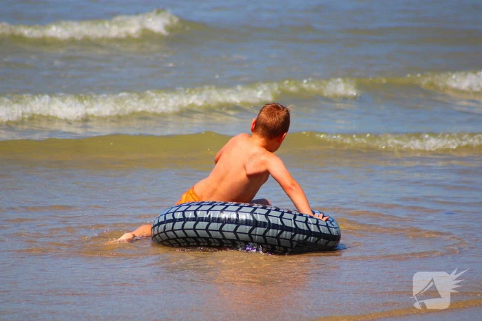 Mens en dier zoeken verkoeling aan het strand