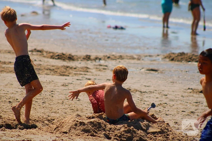 Mens en dier zoeken verkoeling aan het strand