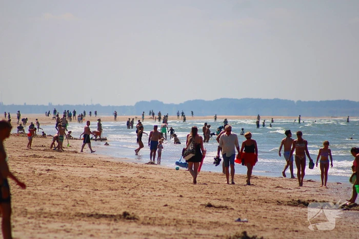 Mens en dier zoeken verkoeling aan het strand