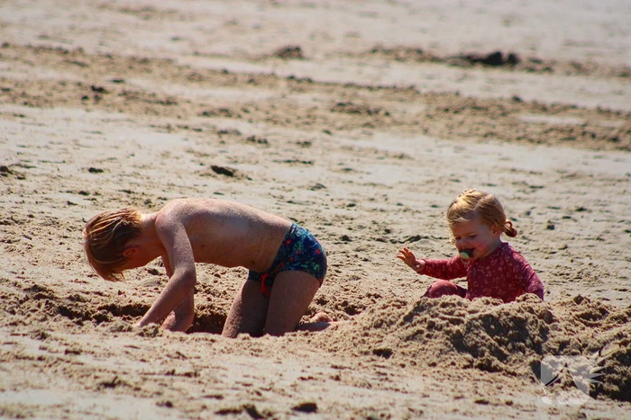 Mens en dier zoeken verkoeling aan het strand