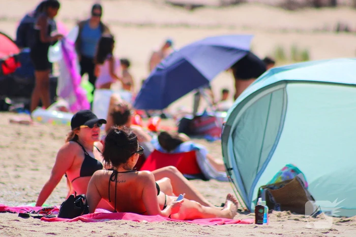 Mens en dier zoeken verkoeling aan het strand