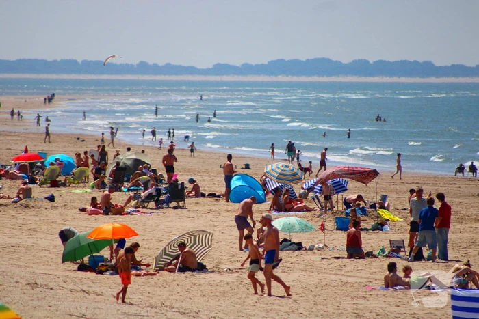 Mens en dier zoeken verkoeling aan het strand
