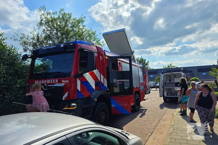 Zwaluw door brandweer bevrijdt uit nestkast