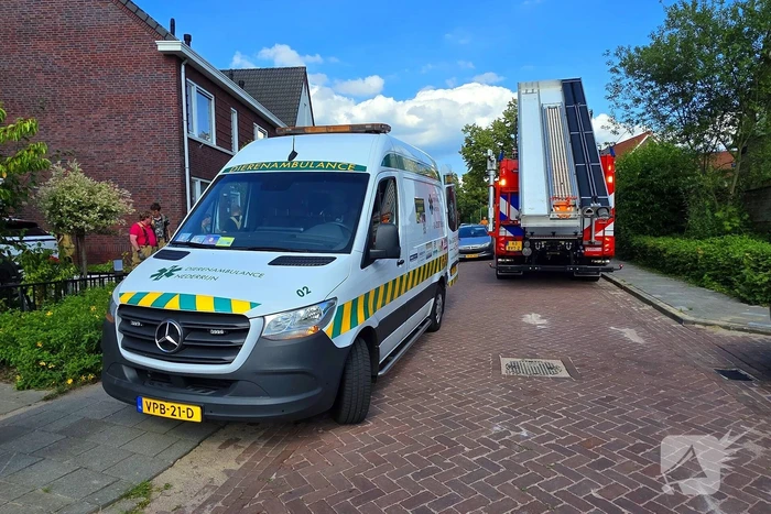 Zwaluw door brandweer bevrijdt uit nestkast