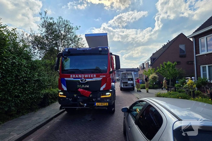 Zwaluw door brandweer bevrijdt uit nestkast