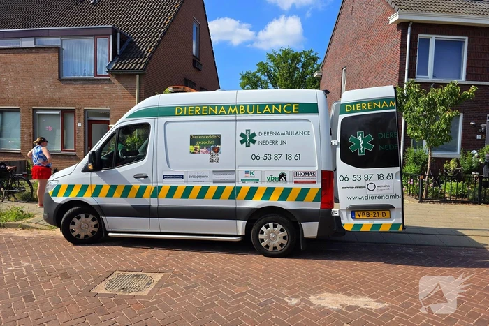 nieuws plataanweg wageningen