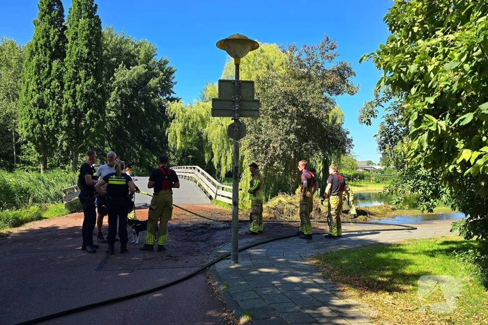 Rietbrand effectief geblust door brandweer