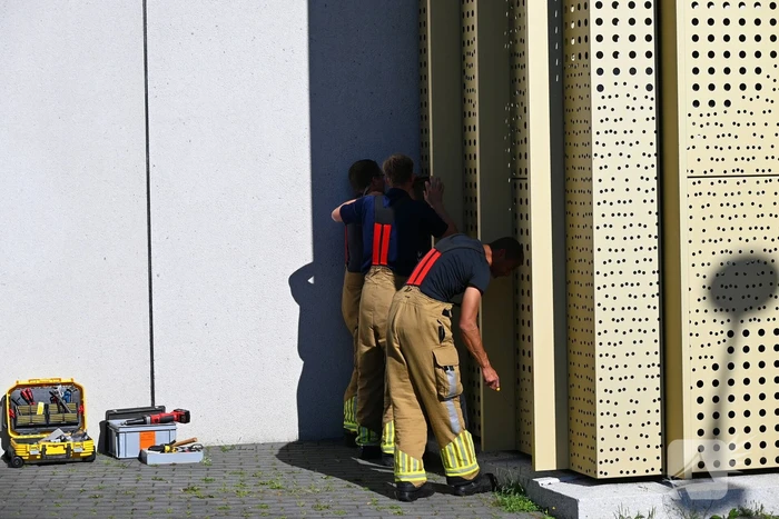 Brandweer redt kraai uit benarde positie