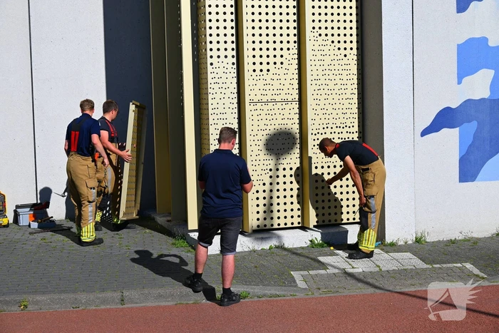 Brandweer redt kraai uit benarde positie