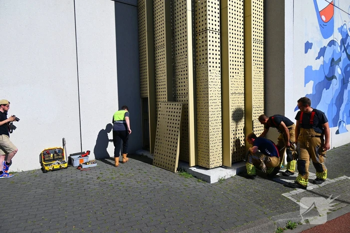 Brandweer redt kraai uit benarde positie