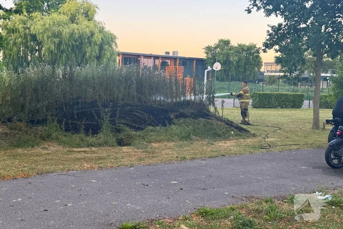 Brandweer blust bermbrand