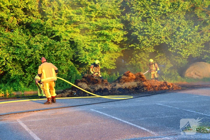 Berg gras in brand