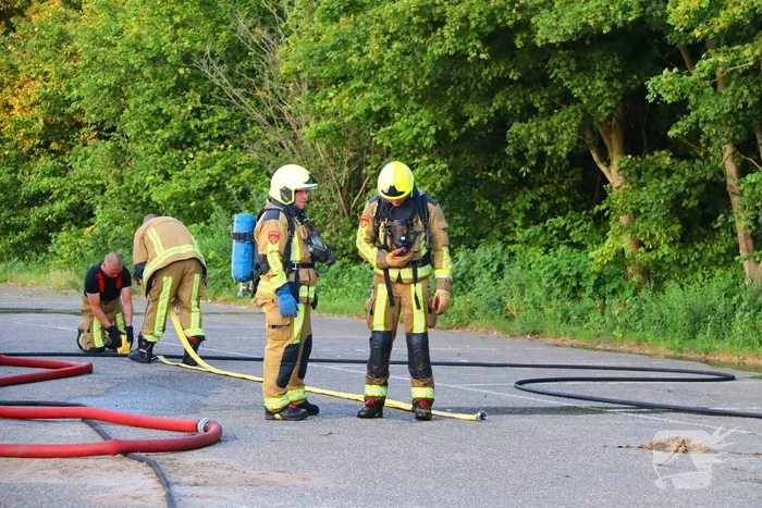 Berg gras in brand