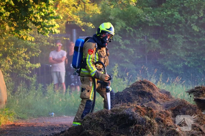 Berg gras in brand