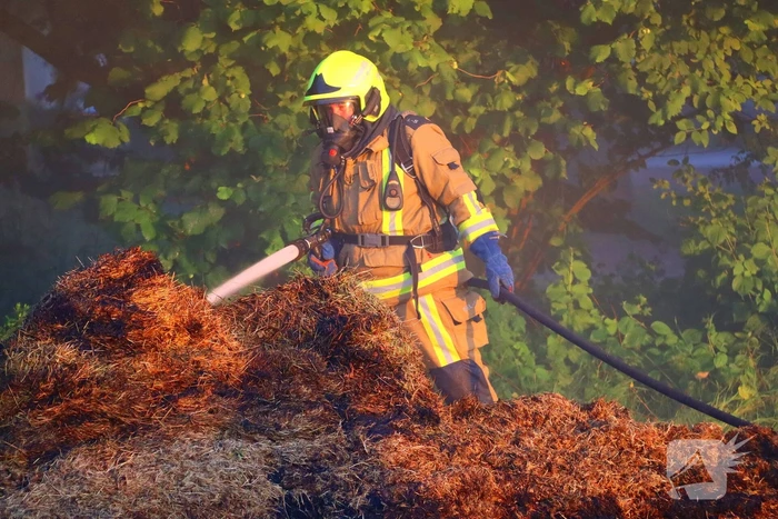 Berg gras in brand