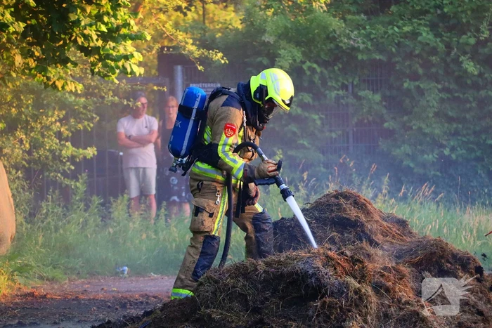 Berg gras in brand