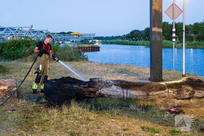 Mogelijke brandstichting bij boomstronk