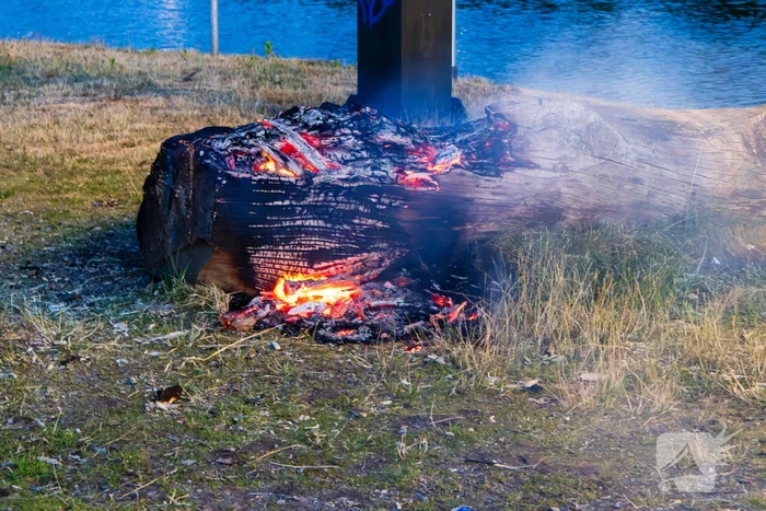Mogelijke brandstichting bij boomstronk