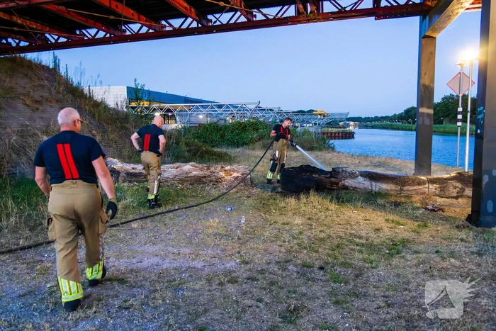 Mogelijke brandstichting bij boomstronk