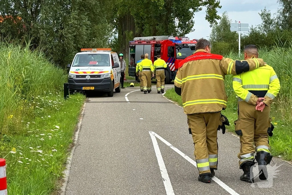 Biezenloop Nieuws Veghel 