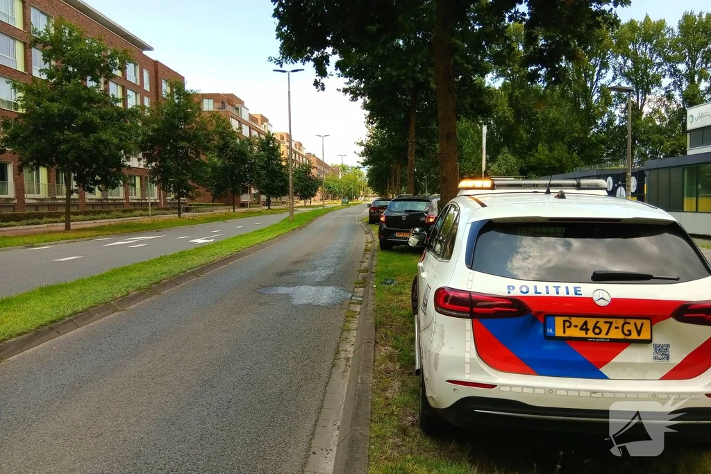 Laan van Presikhaaf Arnhem 112 