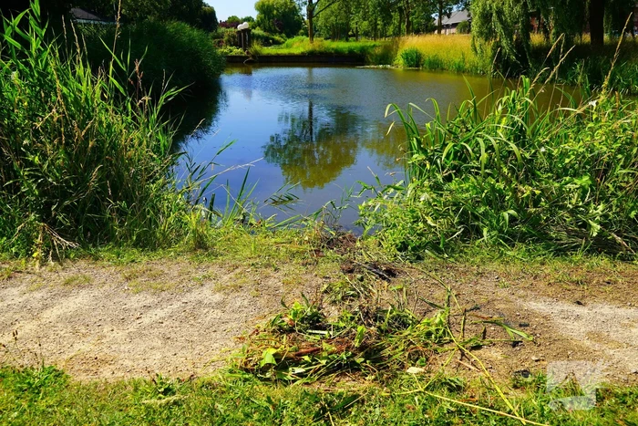Agenten redden personen uit water