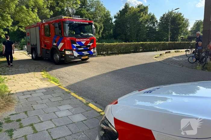 Omstander helpt brandweer met blussen van brand in bosschage