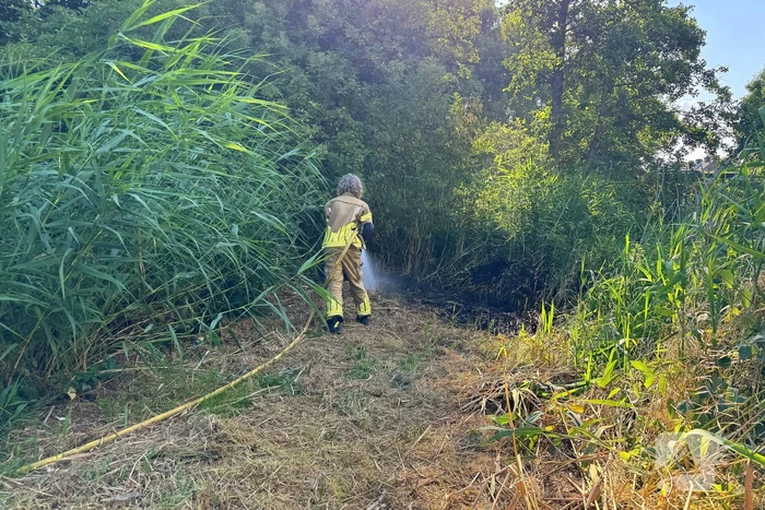 Omstander helpt brandweer met blussen van brand in bosschage
