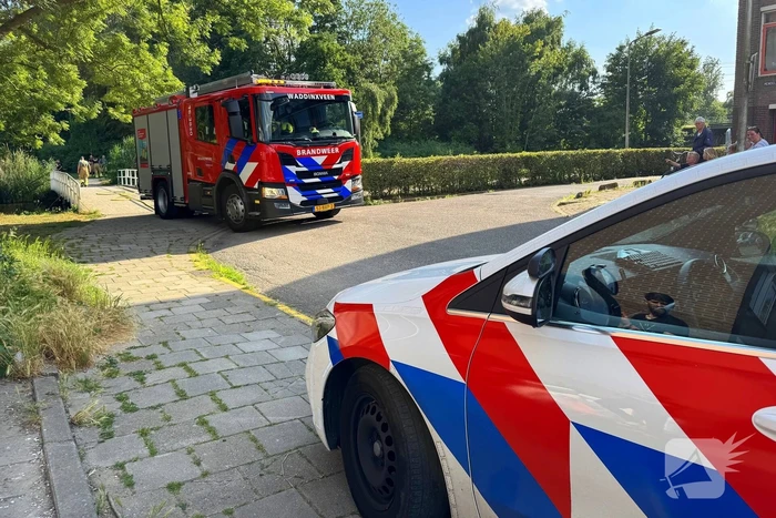 Omstander helpt brandweer met blussen van brand in bosschage