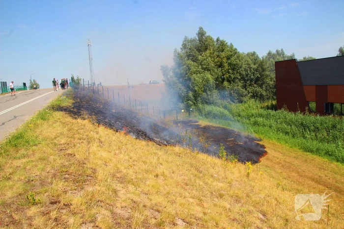 Brand in berm en struikgewas