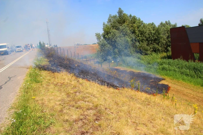 Brand in berm en struikgewas