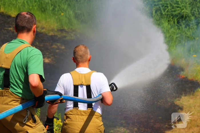 Brand in berm en struikgewas