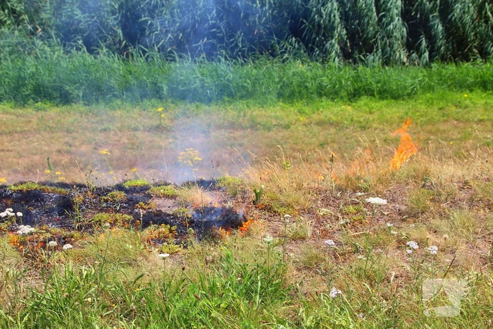 Brand in berm en struikgewas