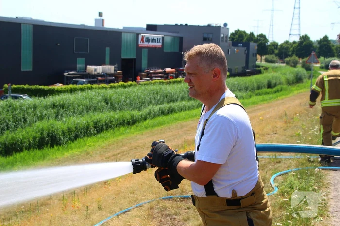 Brand in berm en struikgewas