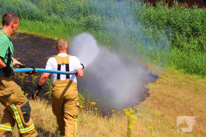 Brand in berm en struikgewas