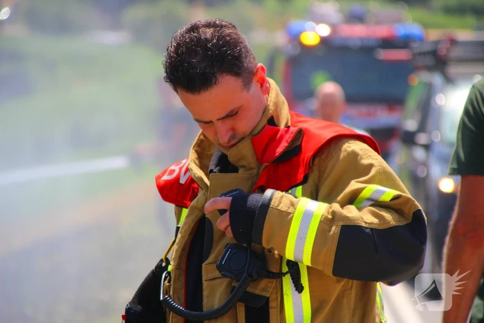 Brand in berm en struikgewas