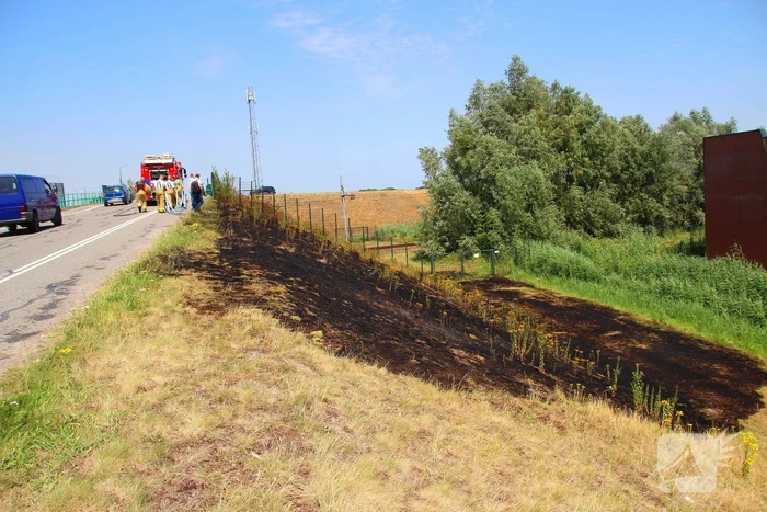 Brand in berm en struikgewas