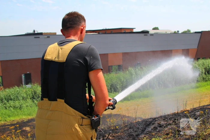 Brand in berm en struikgewas