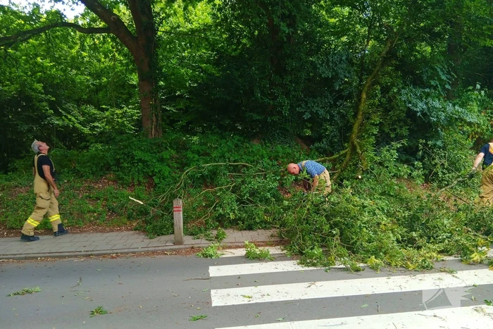 natuur beekhuizenseweg rozendaal