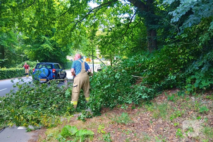 Stormschade zorgt voor gevaar op de weg