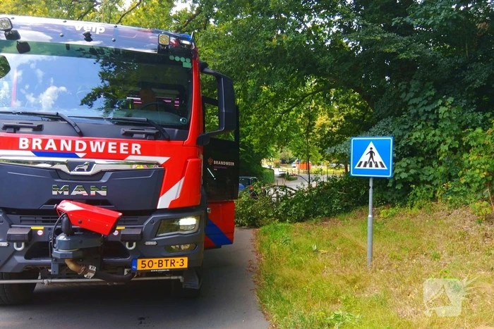 Stormschade zorgt voor gevaar op de weg