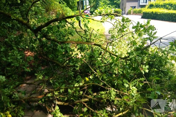 Stormschade zorgt voor gevaar op de weg