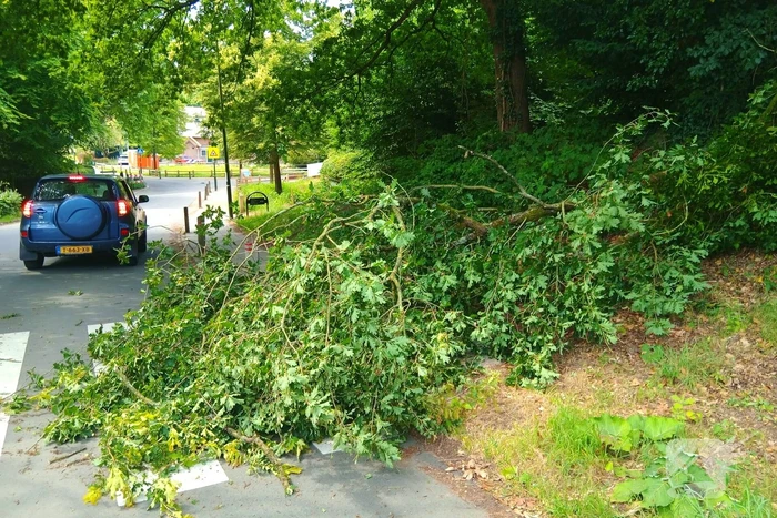 Stormschade zorgt voor gevaar op de weg