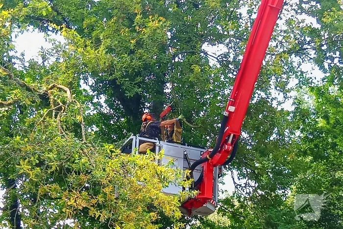 Stormschade zorgt voor gevaar op de weg
