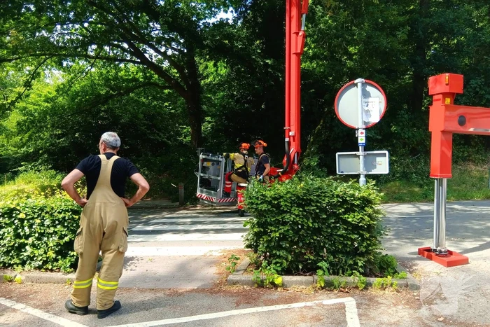 Stormschade zorgt voor gevaar op de weg