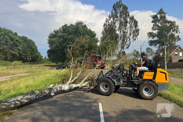 natuur heikantseweg helmond